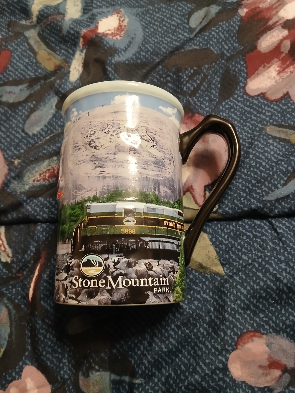 Stone Mountain Accessories Scenic Coffee Mug - Black Handle
